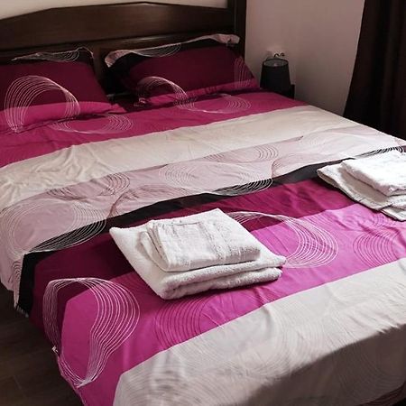 Apartament Confortabil In Тиргу-Жіу Екстер'єр фото